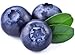 Econava Blueberry Flavor Matcha Powder 200g